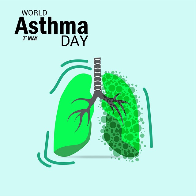 哮喘 天 世界 - 上的免费图片