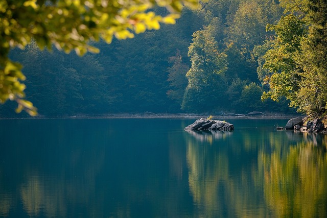 湖 岩石 森林 - 上的免费照片