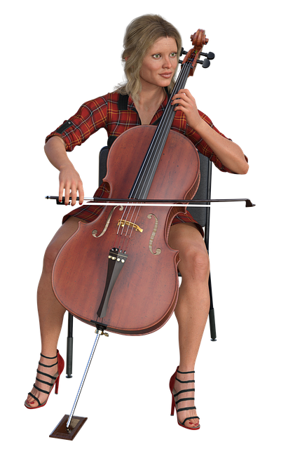 大提琴 音乐 音乐家 - 上的免费图片