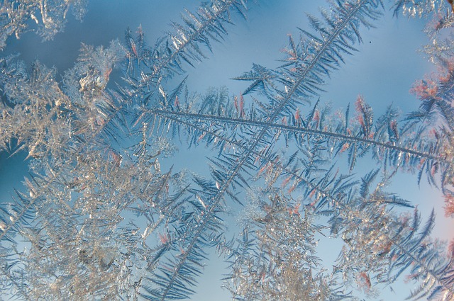 冬天 霜 自然 - 上的免费照片
