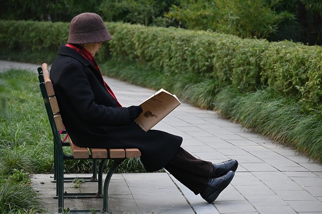 老人 读 公园 - 上的免费照片