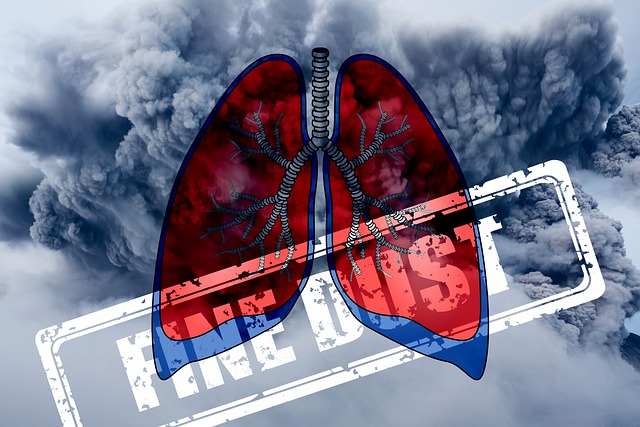 肺癌 微尘 健康 - 上的免费图片