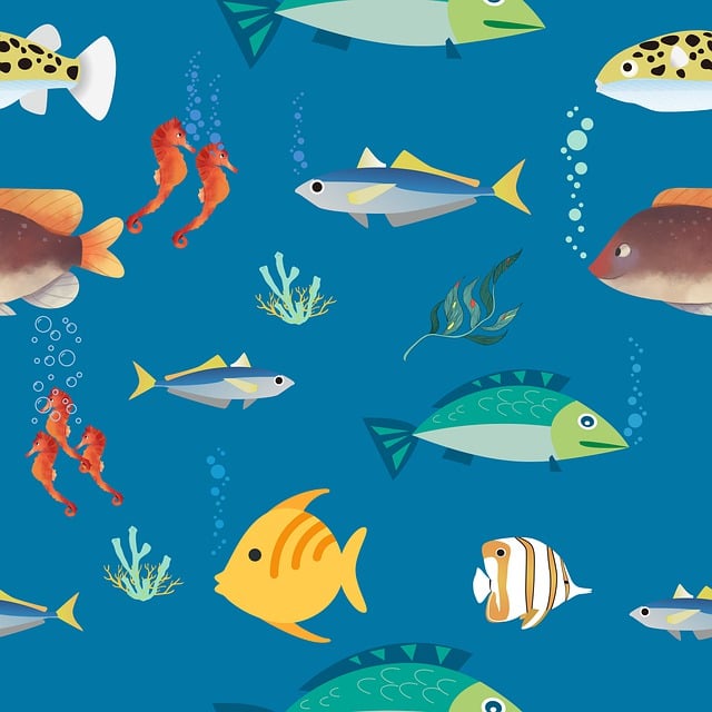 鱼 水下 画画 - 上的免费图片