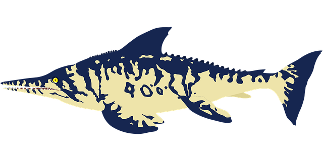 鱼龙类 灭绝 化石 - 免费矢量图形