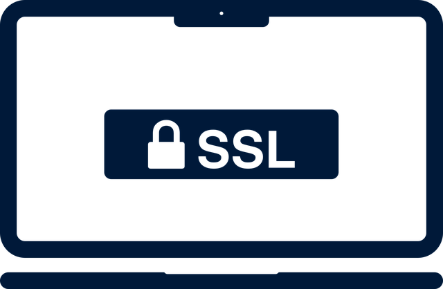 笔记本电脑 Ssl 图标 - 免费矢量图形