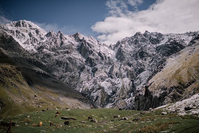 山 高加索 自然 - 上的免费照片