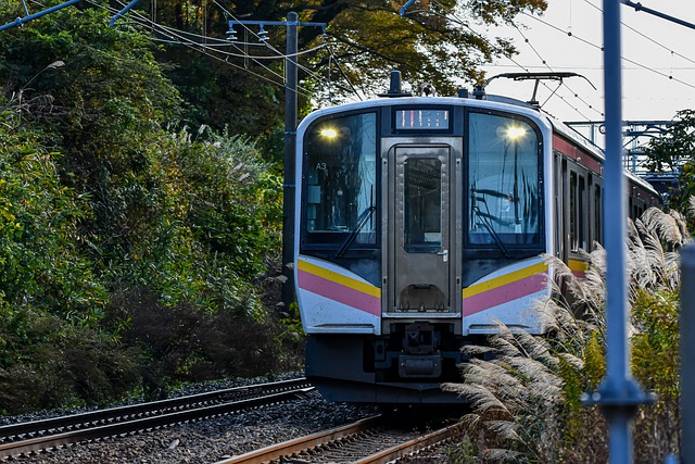 火车 旅行 轨 - 上的免费照片