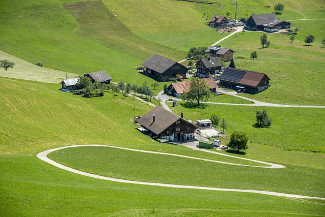 瑞士 布尔根施托克 山 - 上的免费照片