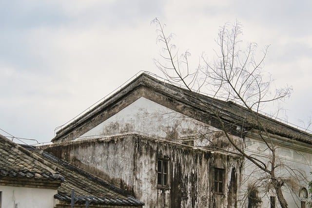 老房子 建筑 树木 - 上的免费照片