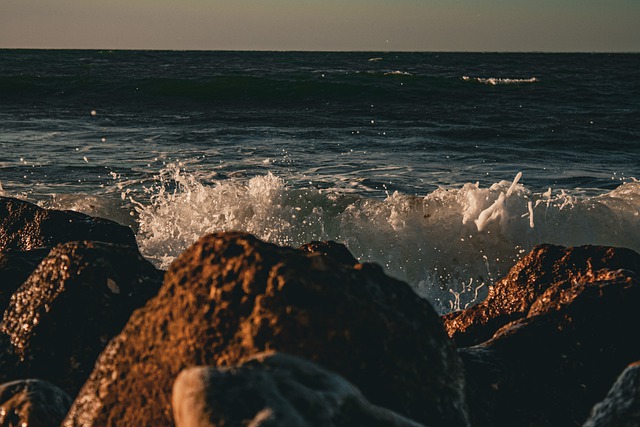 海洋 自然 罗氏 - 上的免费照片