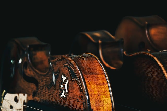 小提琴 音乐主题 三重奏 - 上的免费照片