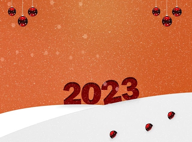 雪花 2023年新年 雪滴 - 上的免费照片