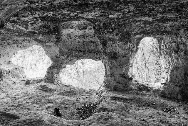 洞穴 罗氏 树木 - 上的免费照片