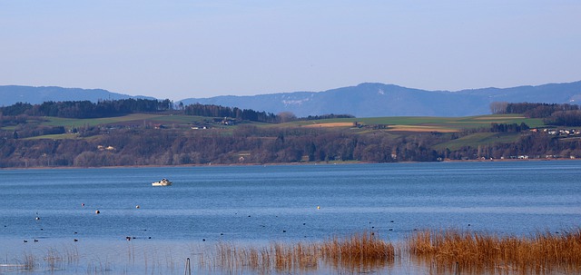 区域的湖 Murten 全景 船 - 上的免费照片