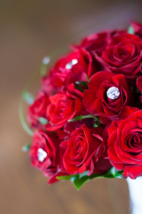 有关婚禮, 新娘, 玫瑰的免费素材图片