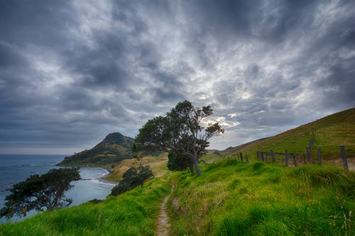 白天在栅栏和悬崖附近的通路 · 免费素材图片