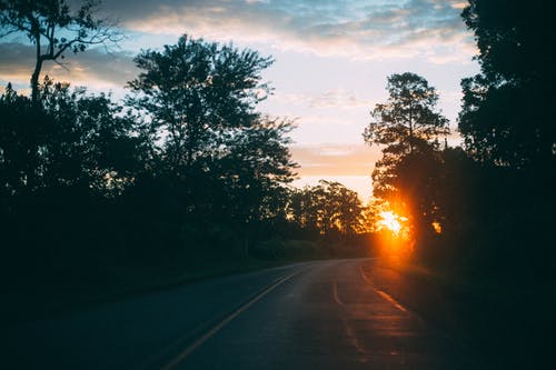 日落时树木弯曲的路 · 免费素材图片