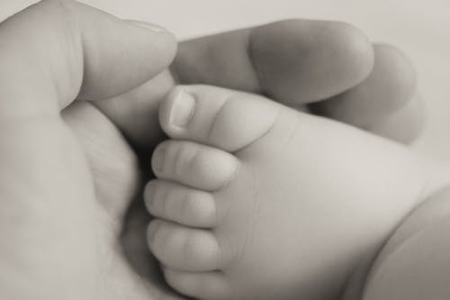 灰度摄影人抱着婴儿的脚 · 免费素材图片