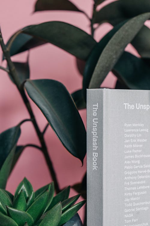 植物附近的uinsplash书 · 免费素材图片