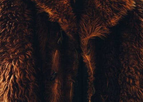 棕色皮大衣 · 免费素材图片
