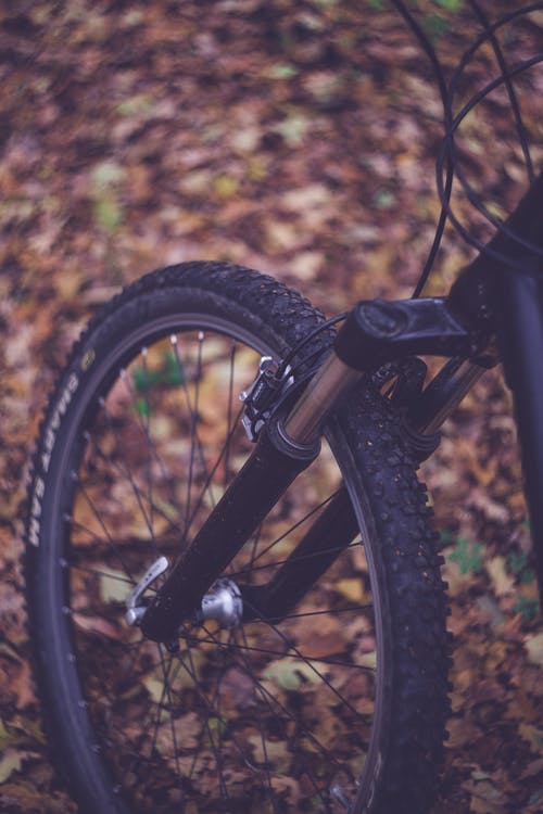 黑色的自行车车轮上棕色的叶子 · 免费素材图片