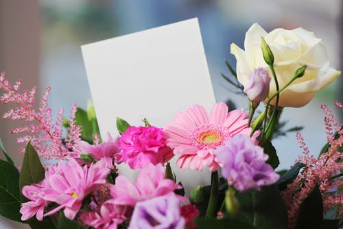 白玫瑰和粉红色雏菊 · 免费素材图片