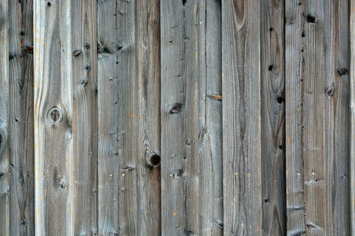 棕色木码头 · 免费素材图片