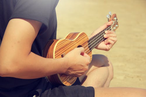 棕色夏威夷四弦琴 · 免费素材图片