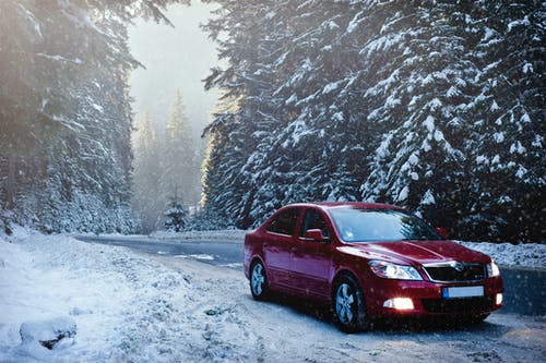 森林中的红色轿车 · 免费素材图片