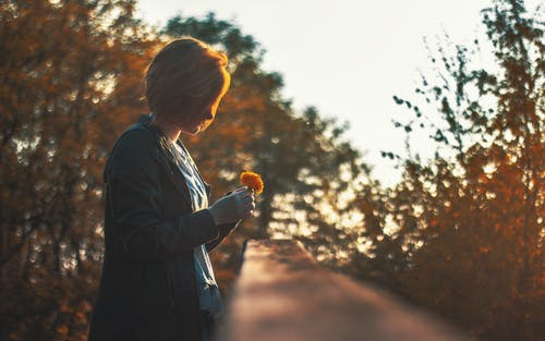 女人拿着花瓣花的选择性焦点摄影 · 免费素材图片