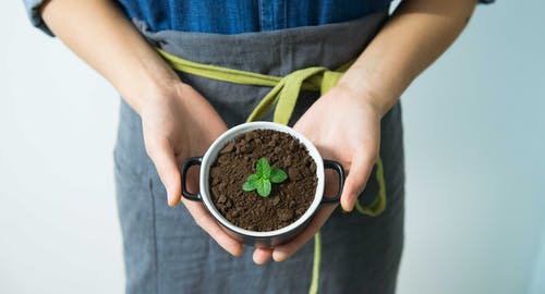 拿着杯子与绿色植物的人 · 免费素材图片