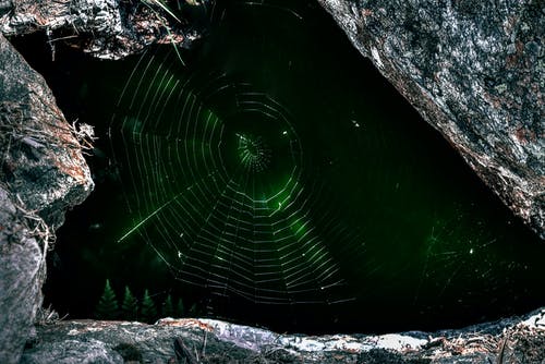 蜘蛛网的宏观照片 · 免费素材图片