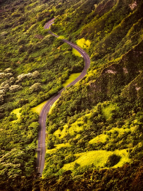 道路和森林的鸟瞰图 · 免费素材图片