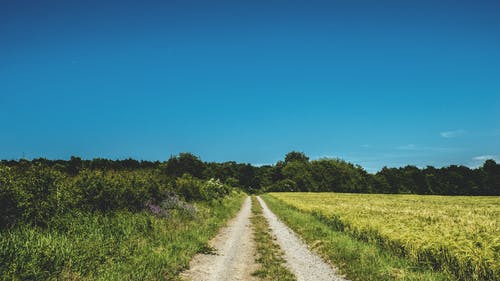 草原之间的路 · 免费素材图片