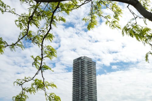蓝蓝的天空下的高层建筑附近的树 · 免费素材图片