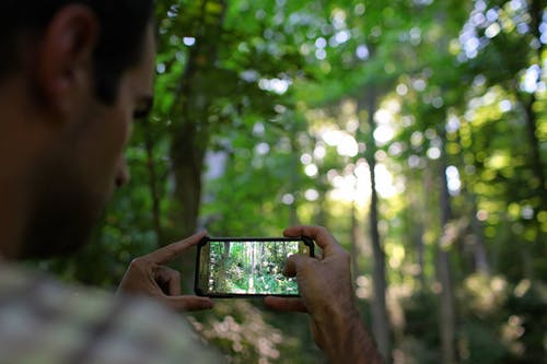 裁剪人拍摄智能手机上的森林 · 免费素材图片