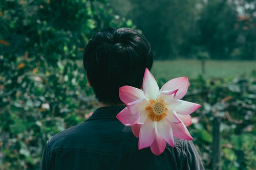 在人的肩膀上的粉红色花朵 · 免费素材图片