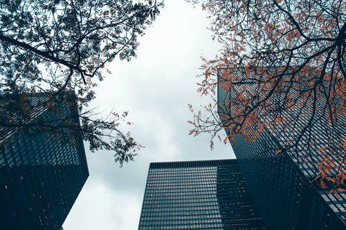 高层建筑的蠕虫视野 · 免费素材图片