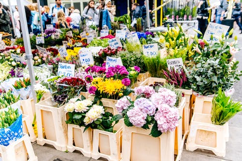 什锦的花与棕色木架 · 免费素材图片