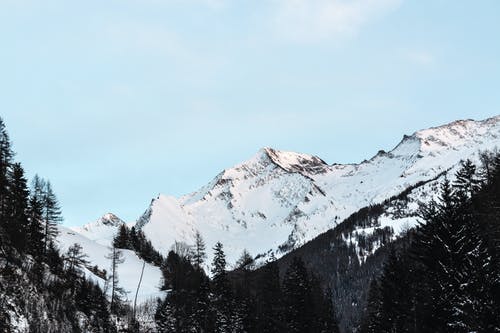 白天白雪皑皑的山与黑树在蓝蓝的天空下 · 免费素材图片