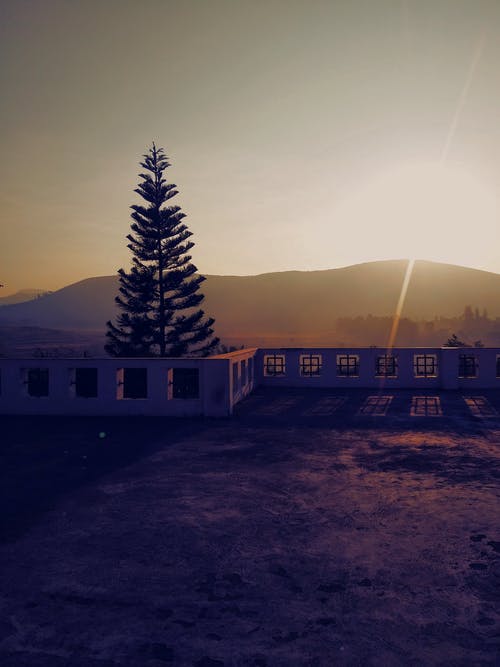 在日落的山松树背景附近的混凝土台阶 · 免费素材图片