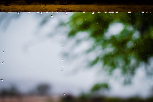 多雨的天气与树木的摄影 · 免费素材图片