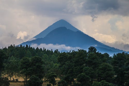 山与树木摄影的剪影 · 免费素材图片