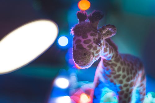 长颈鹿毛绒玩具特写照片 · 免费素材图片