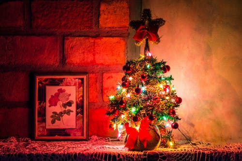 点燃的圣诞树照片 · 免费素材图片