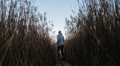 在树中间的男人 · 免费素材图片