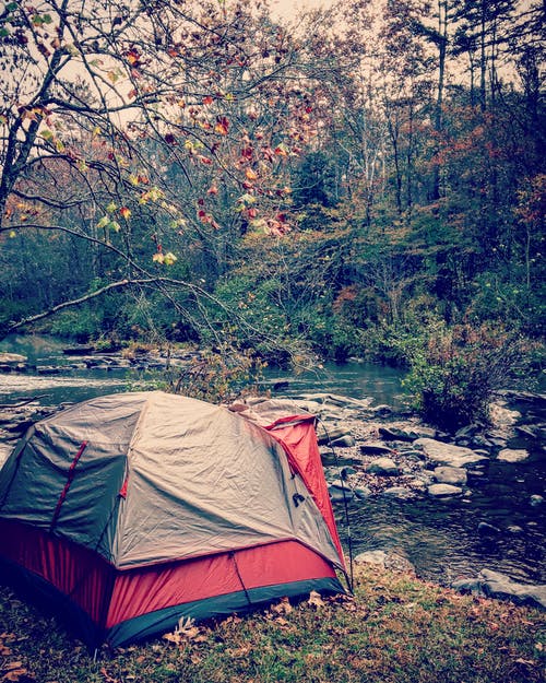 森林里的灰色和红色圆顶帐篷 · 免费素材图片