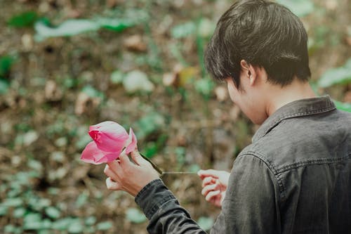 黑色牛仔吉恩拿着粉红色的花的男人 · 免费素材图片