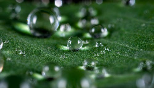 水滴的微距照片 · 免费素材图片