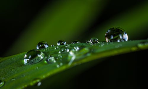 水滴的微距摄影 · 免费素材图片